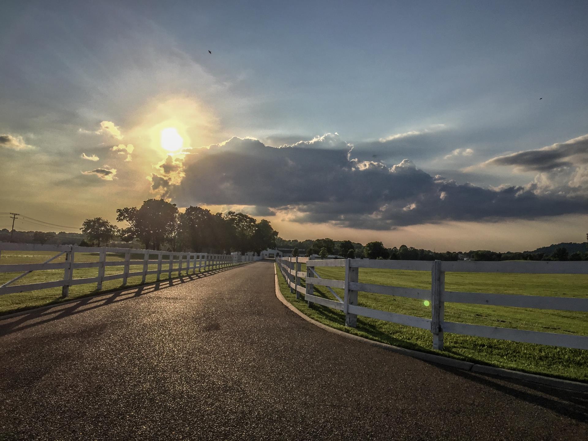 Golden hour sunset over the white-fenced driveway at Harlinsdale Farm