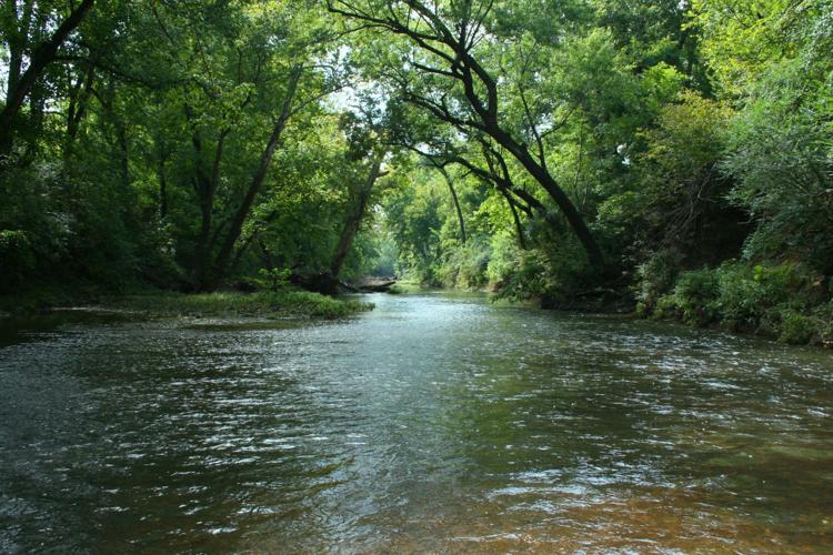 The Harpeth River flowing beneath a canopy of trees in Franklin, Tennessee